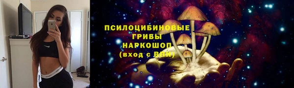 дурь Новокубанск