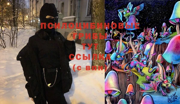 стафф Абдулино