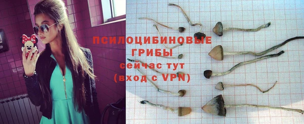 эйфоретик Новодвинск