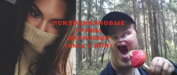 дурь Новокубанск