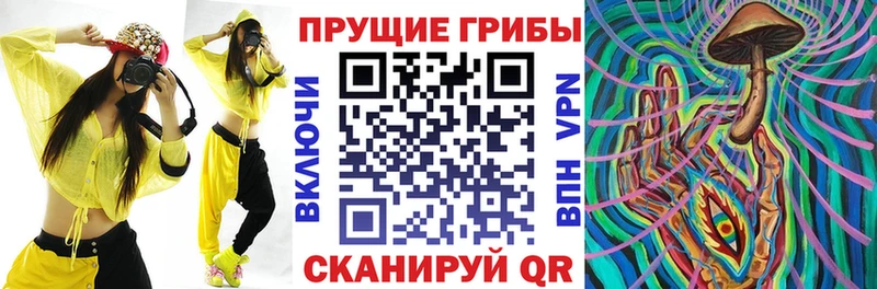 Галлюциногенные грибы Cubensis  цена наркотик  Белая Калитва 
