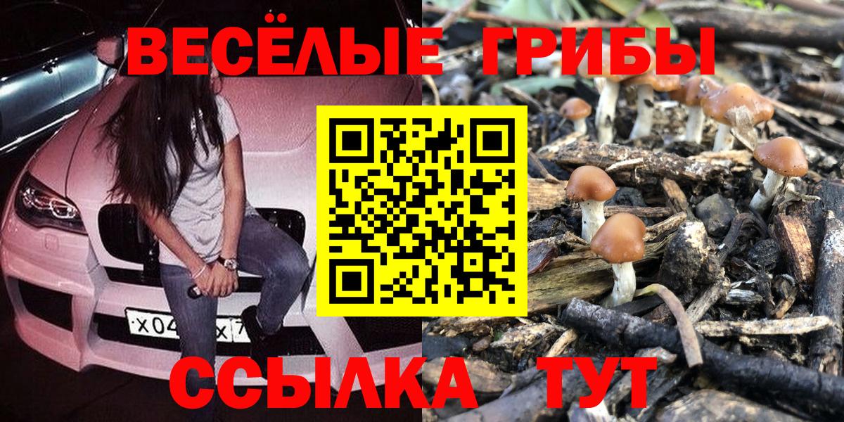Галлюциногенные грибы MAGIC MUSHROOMS  Вход с VPN  Галлюциногенные грибы Psilocybe  Белая Калитва 