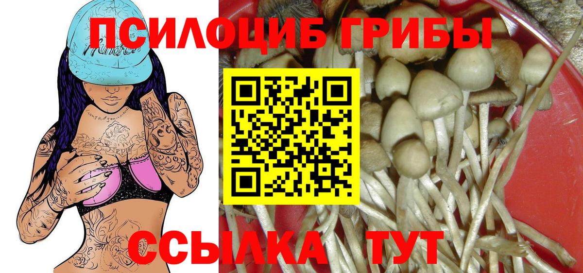 Псилоцибиновые грибы Psilocybine cubensis Белая Калитва