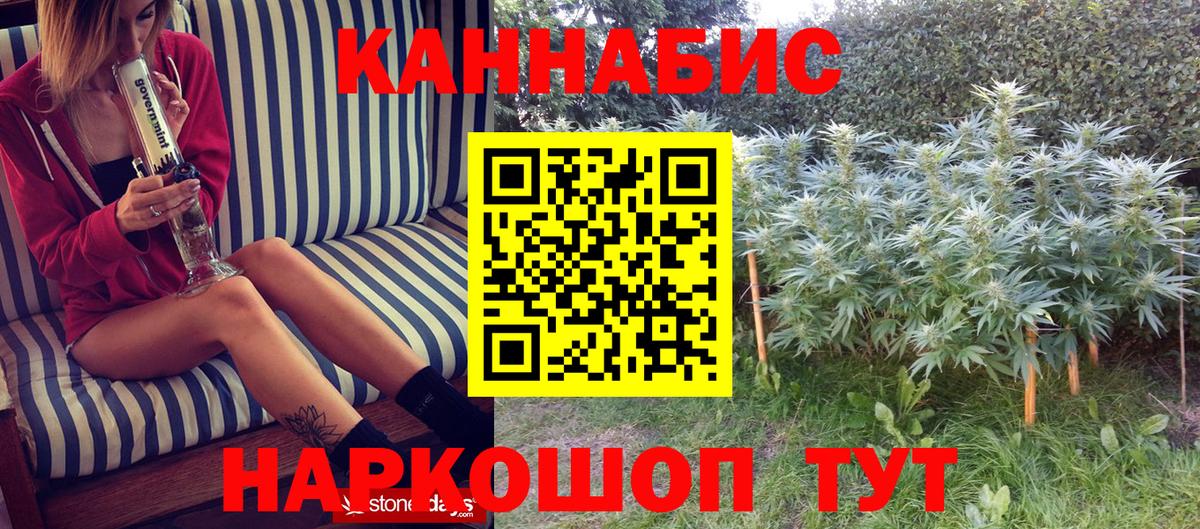 Конопля SATIVA & INDICA  Бошки Шишки гибрид  Канабис OG Kush  Вход с VPN  Белая Калитва 
